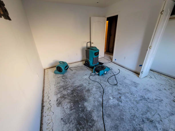 Water damage restoration insurance claims in Nashwauk, MN