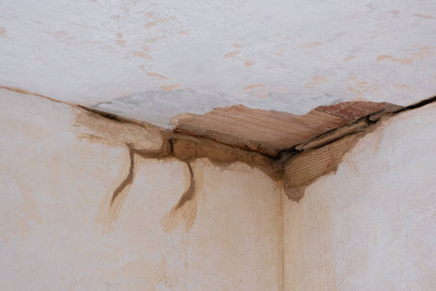 Best Water damage restoration experts  in Nashwauk, MN