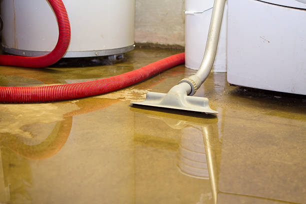 Best Water damage restoration company  in Nashwauk, MN