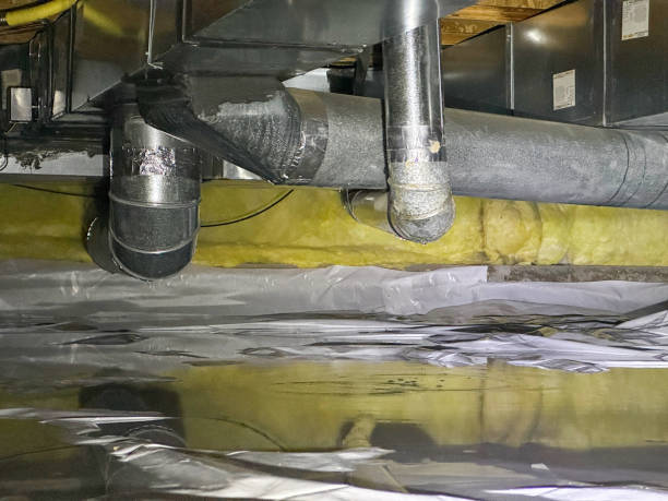 Best Carpet water damage restoration  in Nashwauk, MN