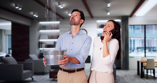 Trusted Nashwauk, MN Water damage restoration Experts