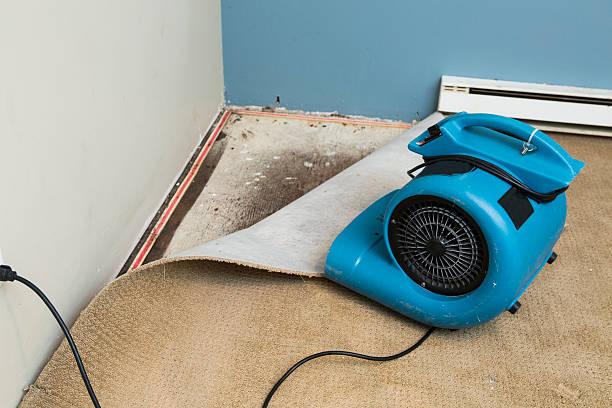 Best Water damage cleanup near me  in Nashwauk, MN
